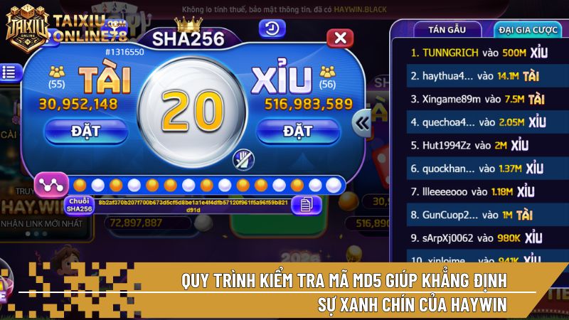 Quy trình kiểm tra mã MD5 giúp khẳng định sự xanh chín của Haywin